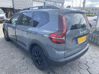Dacia Jogger 1.0 TCe 110 Extreme 7p. picture 6