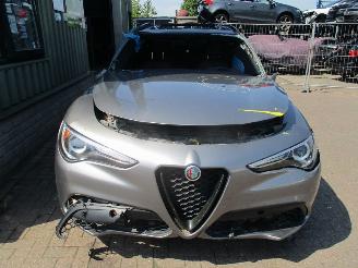 Damaged car Alfa Romeo Stelvio  2019/1