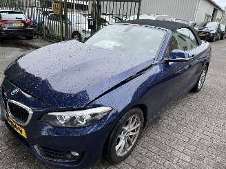 Salvage car BMW 2-serie 218i  Automaat Cabriolet 2018/1