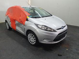 Salvage car Ford Fiesta 1.25 Limited 2009/5