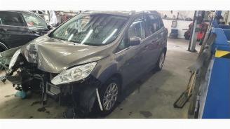 voitures voitures particulières Ford Grand C-Max Grand C-Max (DXA), MPV, 2010 / 2019 1.0 Ti-VCT EcoBoost 12V 125 2013/4
