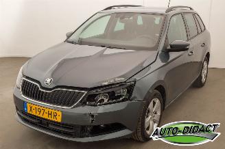 occasion motor cycles Skoda Fabia 1.2 TSI Automaat First Edition Ambition 2017/5