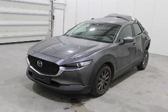 disassembly commercial vehicles Mazda CX-30  2022/12