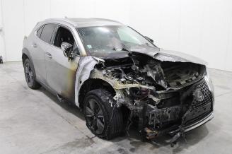 Lexus UX  picture 2