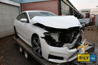 Voiture accidenté BMW 6-serie G32 3.0dX 2017/8