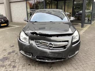Opel Insignia  picture 2